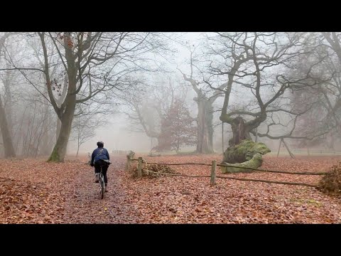 To Discover the Map Again